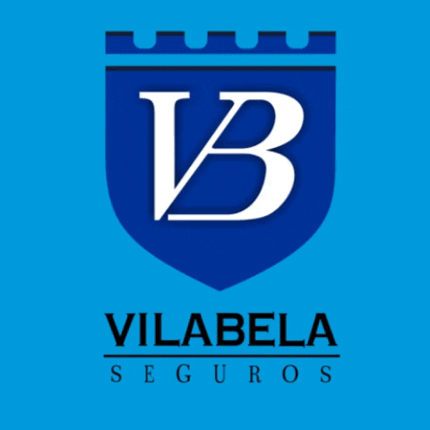 vilabelaseguros giphygifmaker vilabela GIF