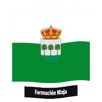 Castilla Y Leon Flag Sticker by Formación Ninja