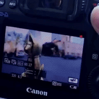 sxsw GIF by Product Hunt