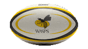 Ball Rugby Sticker by Wasps