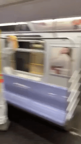 MTA Begins Operation to Disinfect Subway Trains Daily