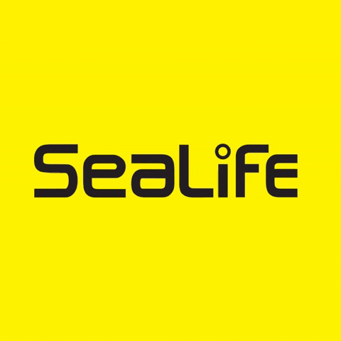 sealifecameras diving underwater cameras scubadiving GIF