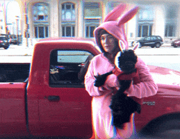 Music Video Puppy GIF by Jenny Lewis
