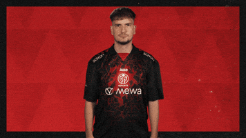 Mainz 05 Football GIF by Bundesliga
