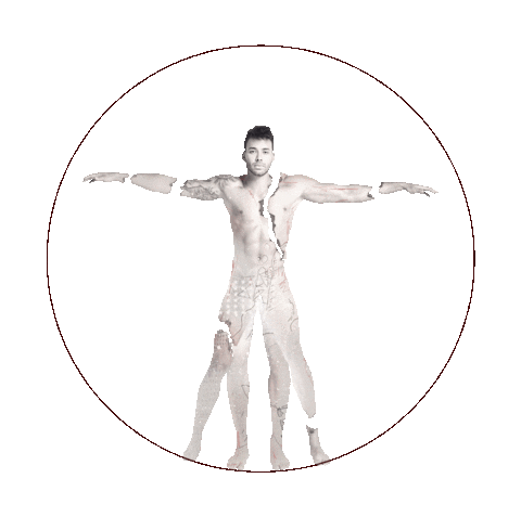 Alter Ego Sticker by Prince Royce