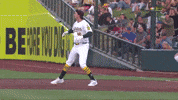 Sport Celebrate GIF by MLB