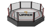 Noche Ufc Sticker by UPPER Sports Management