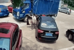 tingtinglu giphyupload GIF