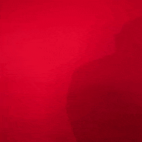 Texas Tech GIF by Texas Tech Baseball