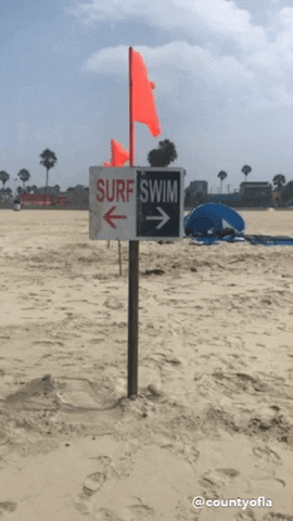 Los Angeles Beach GIF by County of Los Angeles