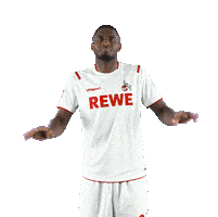 1 Fc Cologne Bundesliga Sticker by 1. FC Köln
