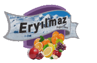 Eryılmaz Sticker by GNS Soğutma