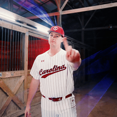Home Run Celebration GIF by Gamecock Athletics