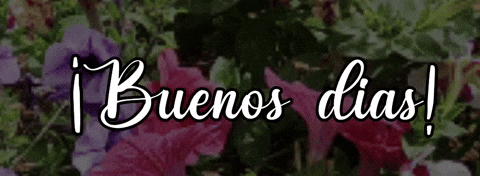Stars Flowers GIF by Raveloteca;
