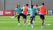 Selecao GIF by Confederação Brasileira de Futebol