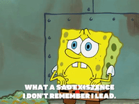 season 5 GIF by SpongeBob SquarePants