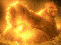 Chicken Glow GIF