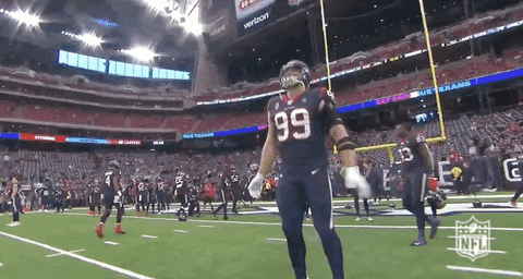 2019 Nfl Football GIF by NFL