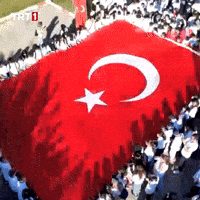 19 Mayıs Flag GIF by TRT