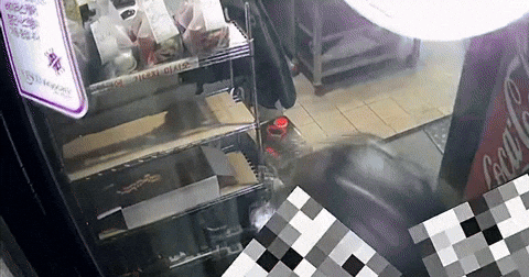 jmy0334 giphyupload GIF