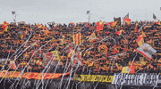 Ultras Lecce GIF