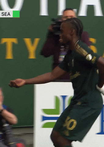Portland Timbers Mls GIF by Major League Soccer