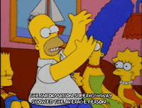 homer simpson episode 13 GIF