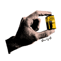 trianamendozagallardo photo camera photos photographer Sticker