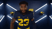 Go Blue College Football GIF by Michigan Athletics