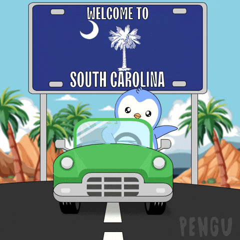 Driving South Carolina GIF by Pudgy Penguins