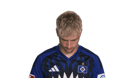 Look Up Hamburger Sv Sticker by Bundesliga