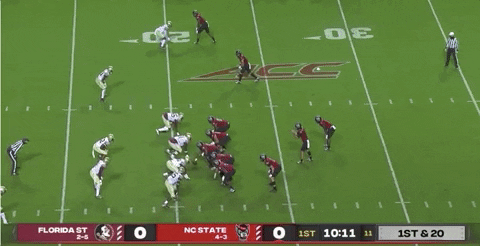 therealessad giphygifgrabber 2020 fsu ncstate GIF