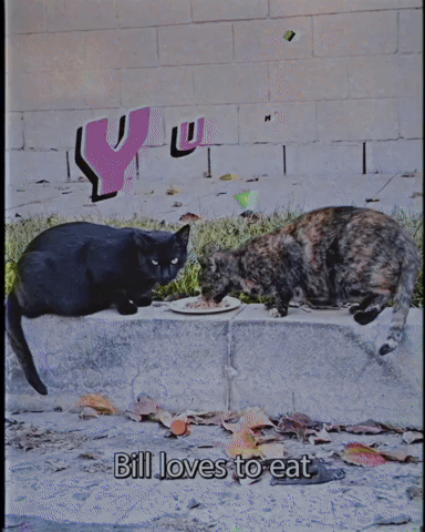 Bill Loves To Eat