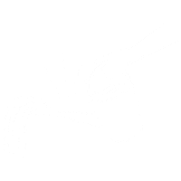 Illustration Water Sticker by Storm Agency