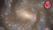 Flower Spinning GIF by ESA/Hubble Space Telescope