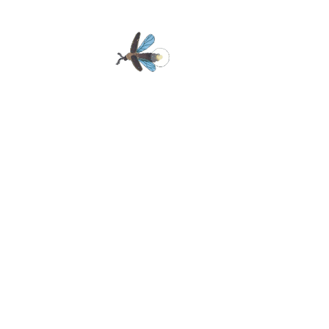 Night Flying Sticker by Lara Paulussen