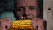 day corn GIF