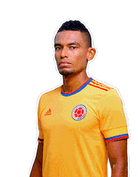Copa America Football Sticker by Caracol Television