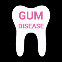 Teeth Dentist GIF by Blush and Blow London