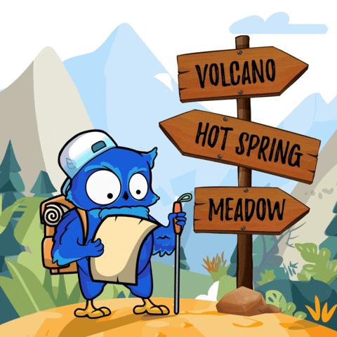 Travel Crypto GIF by BigBrains