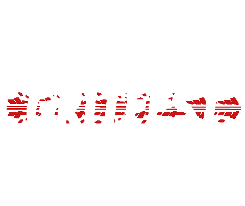 Gravel Wtb Sticker by Wilderness Trail Bikes