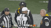 Pittsburgh Steelers Football GIF by NFL