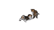 Mondou Sticker by Mondou_calin