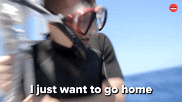 I Just Want To Go Home Shark Week GIF by BuzzFeed