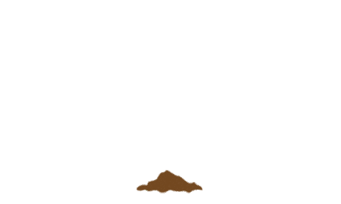 Tree Grow Sticker by Forestry England