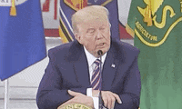 You Just Watch Donald Trump GIF by GIPHY News