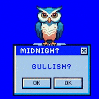 midnightnetwork crypto blockchain bullish midnight GIF