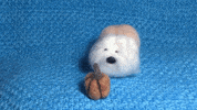 pumpkin pie sheepdog GIF by ELFvid