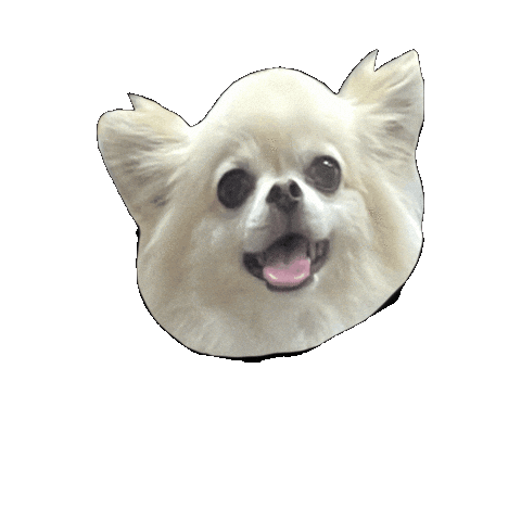 Dog Sticker