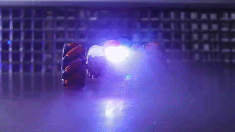 lisaportelli giphyupload GIF